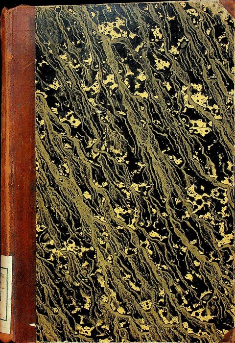 I martirii nella missione francescana osservante in Erzegovina: narrazione storica … | Immagine principale