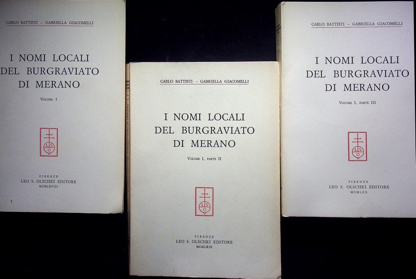 I nomi locali del burgraviato di Merano: volume I (parte …