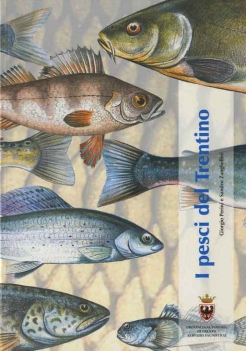 I pesci del Trentino.