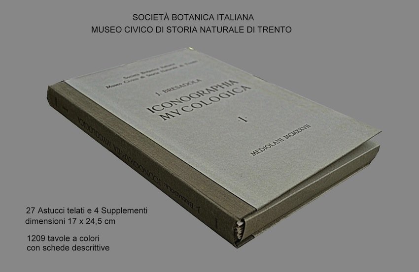 Iconographia mycologica et supplementum.