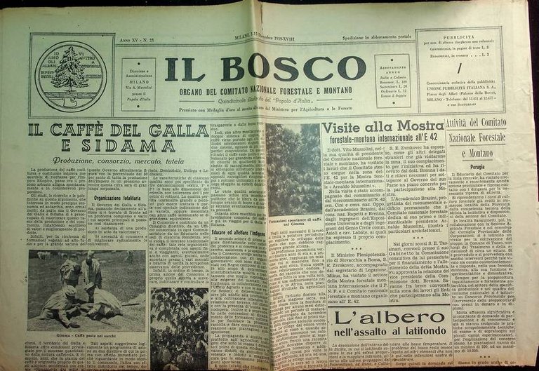 Il bosco: organo del comitato nazionale forestale e montano: quindicinale …