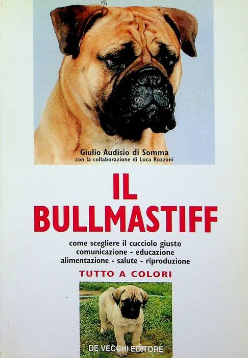 Il bullmastiff.