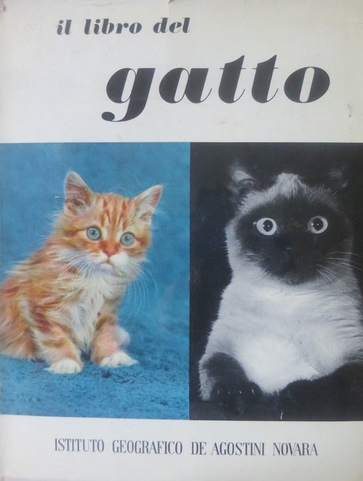 Il libro del gatto.