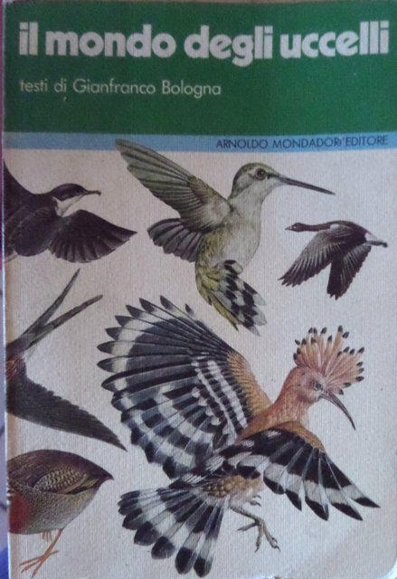 Il mondo degli uccelli.