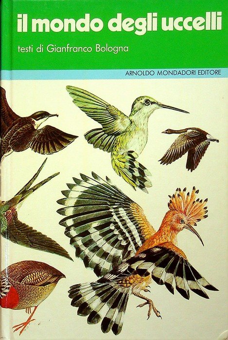 Il mondo degli uccelli. | Immagine principale