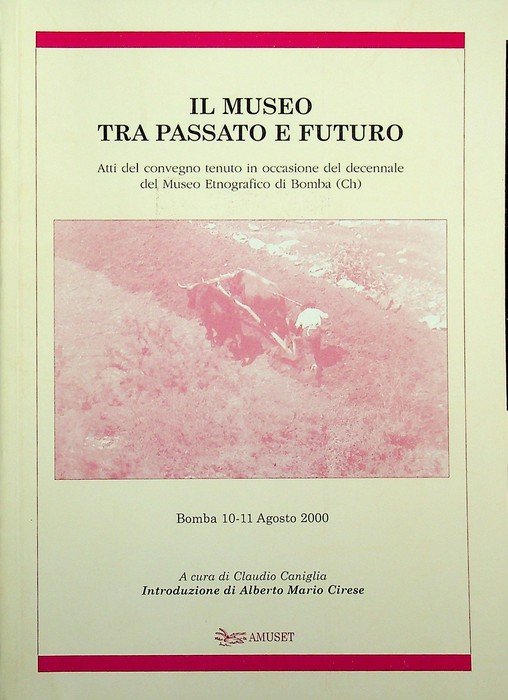 Il museo tra passato e futuro: atti del Convegno tenuto … | Immagine principale