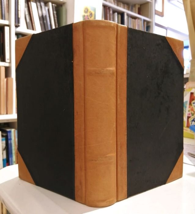 Il Nuovo Testamento tradotto dal testo originale e corredato di … | Immagine principale