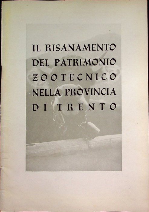 Il piano di risanamento del patrimonio zootecnico nella provincia di …