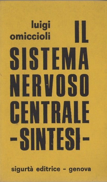 Il sistema nervoso centrale: sintesi.