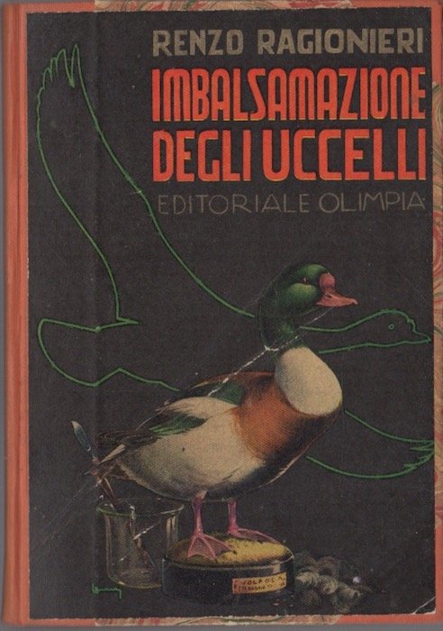 Imbalsamazione degli uccelli. TELA COEVA CON BROSSURA APPLICATA.