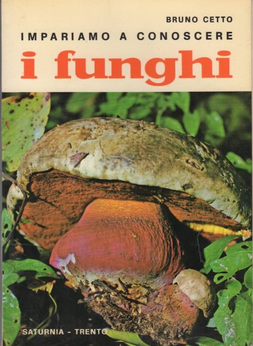 Impariamo a conoscere i funghi.