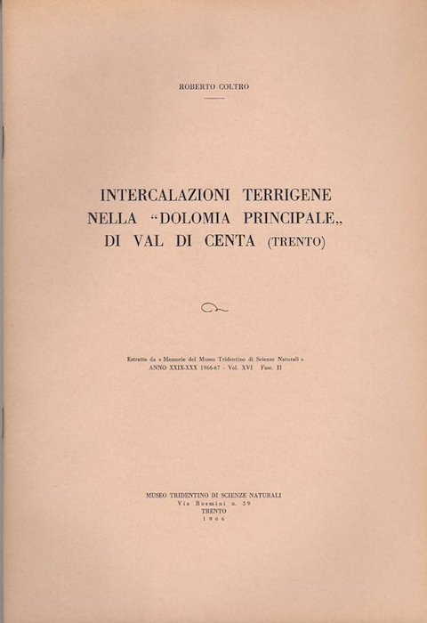 Intercalazioni terrigene nelle Dolomia principale di Val di Centa (Trento).