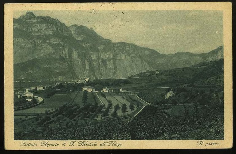 Istituto Agrario di S.Michele all'Adige. Il podere.