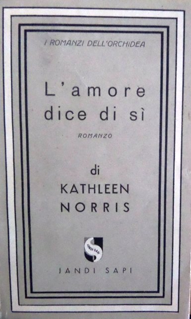 L'amore dice di si: romanzo.