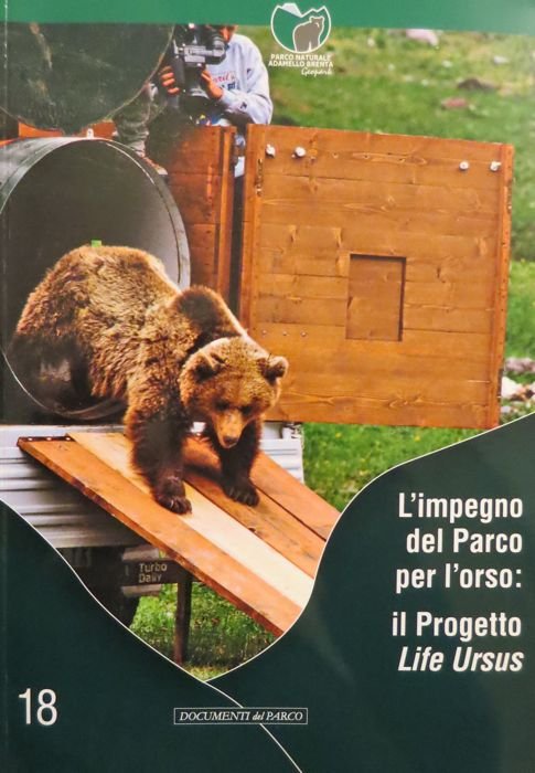L'impegno del Parco per l'orso: il progetto Life Ursus.