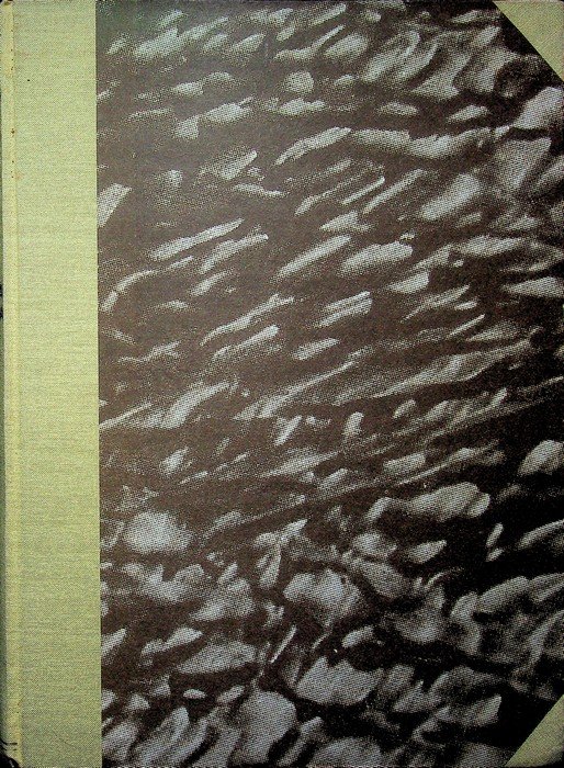 La guerra italiana: cronistoria illustrata degli avvenimenti: VOLUME PRIMO. | Immagine principale