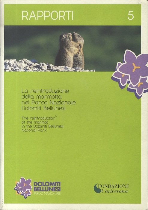 La reintroduzione della marmotta nel Parco Nazionale Dolomiti Bellunesi.