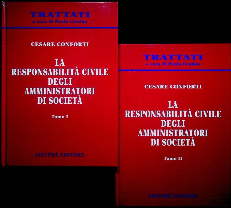 La responsabilitÃ civile degli amministratori di societÃ .