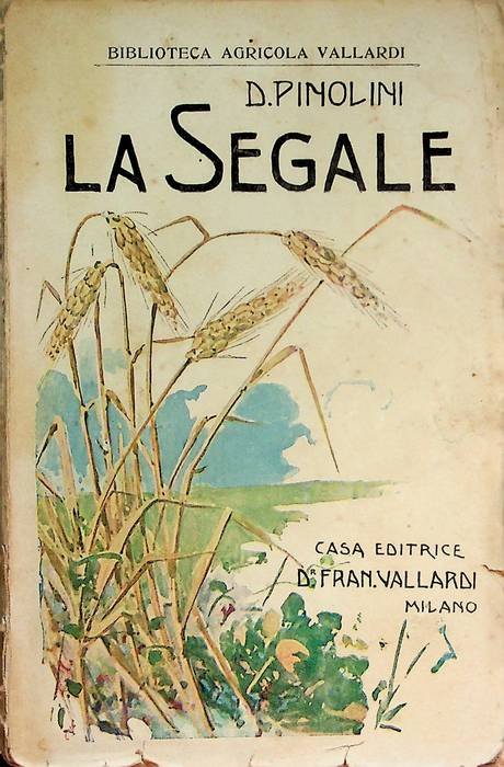 La segale e la sua coltivazione.