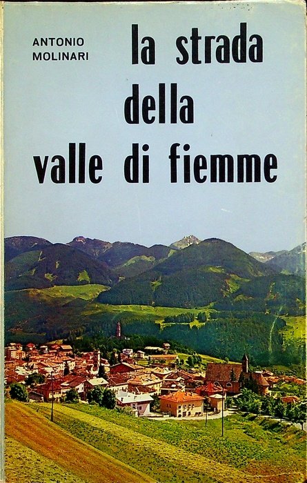 La strada della Valle di Fiemme.