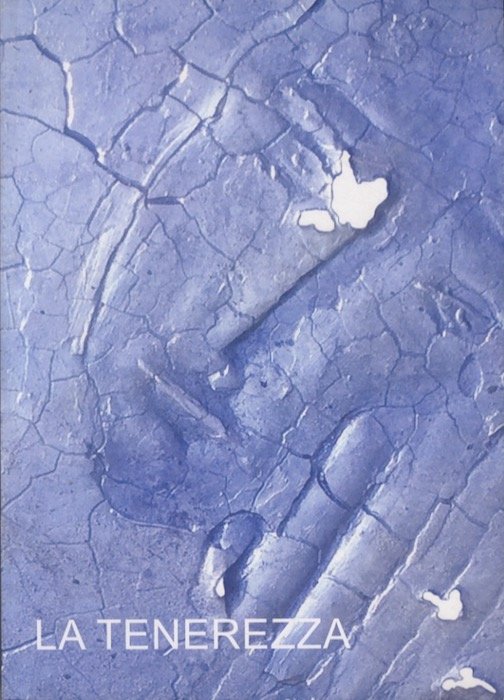 La tenerezza: Aula San Giovanni, Cattedrale di S. Vigilio, Trento …