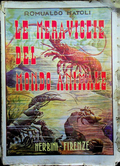 Le meraviglie del mondo animale.