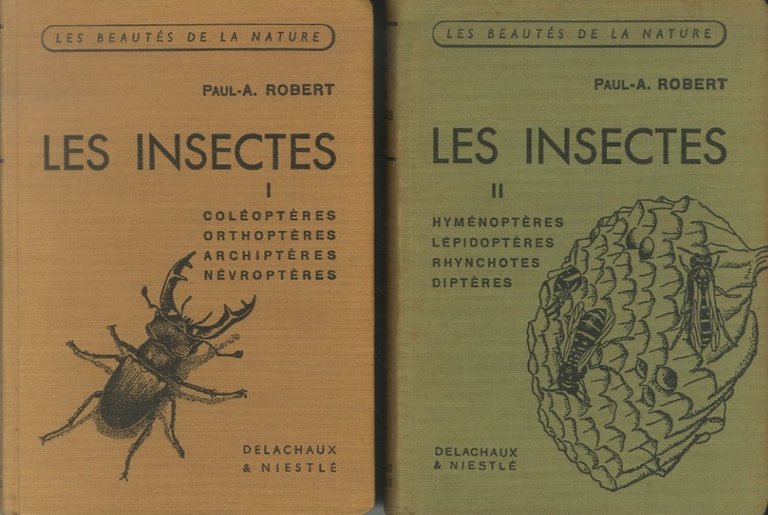 Les insectes.
