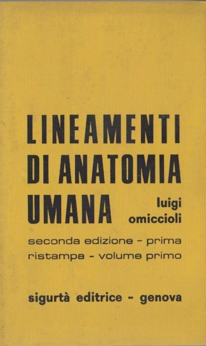 Lineamenti di anatomia umana.