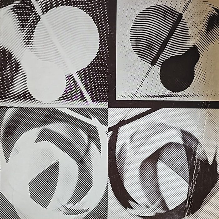 Luigi Veronesi: Parma, 20 giugno-20 luglio 1975, Sala delle Scuderie …