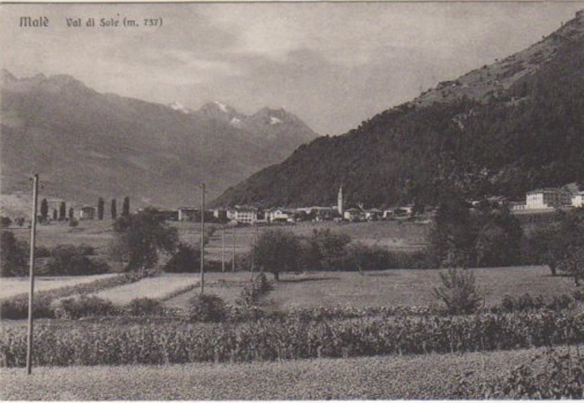 Malè - Val di Sole (m. 737).