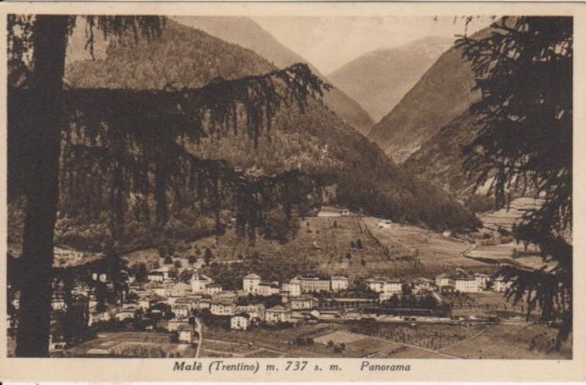 Malè (Trentino) m. 737 s. m. - Panorama.