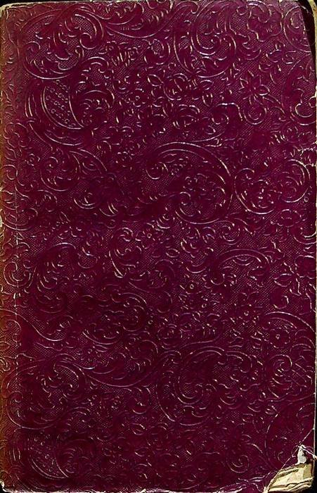Manuale dantesco ad uso della gioventù: operetta.