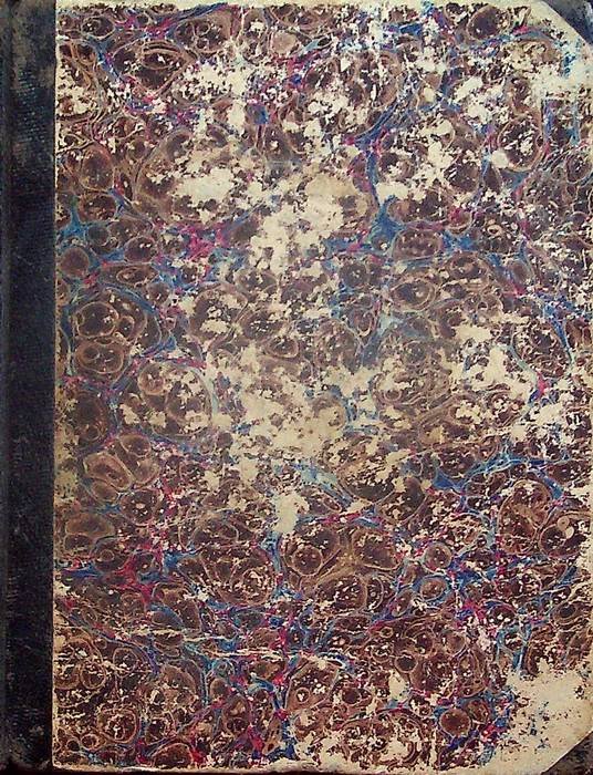 Marienlieder zur feier der Maiandacht: Rom in mai 1842 gedichtet …