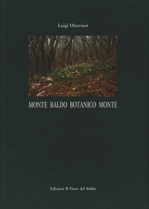 Monte Baldo: Botanico Monte.