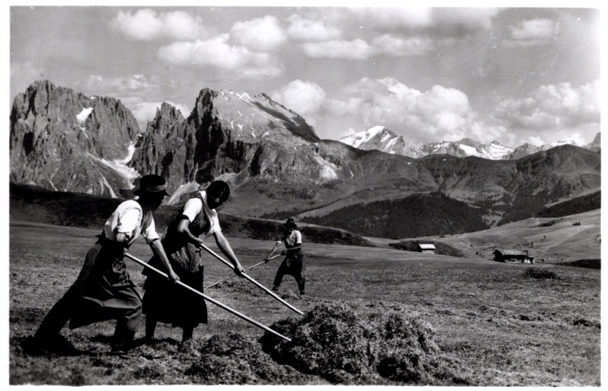 Motivo sull'Alpe di Siusi - Dolomiti.