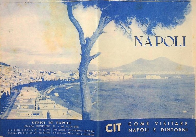 Napoli, CIT, Come visitare Napoli e dintorni.