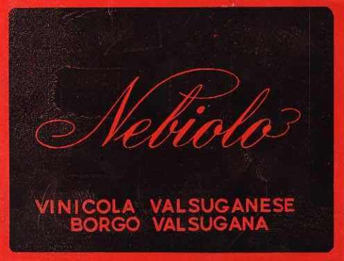 Nebiolo. Vinicola Valsuganese - Borgo Valsugana.