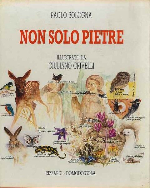 Non solo pietre.