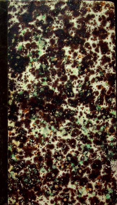 Novelle edite ed inedite; Scritti intorno alla bellezza ed allo …