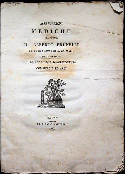 Osservazioni mediche del signor d.r Alberto Brunelli fatte in Verona … | Immagine principale