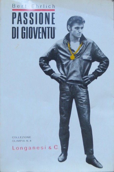 Passione di gioventÃ¹: romanzo.