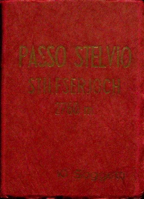 Passo Stelvio: Stilfserjoch: 2760 m: 10 soggetti.