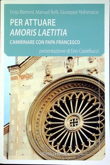 Per attuare Amoris laetitia: camminare con papa Francesco.