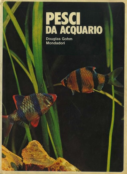 Pesci da acquario.