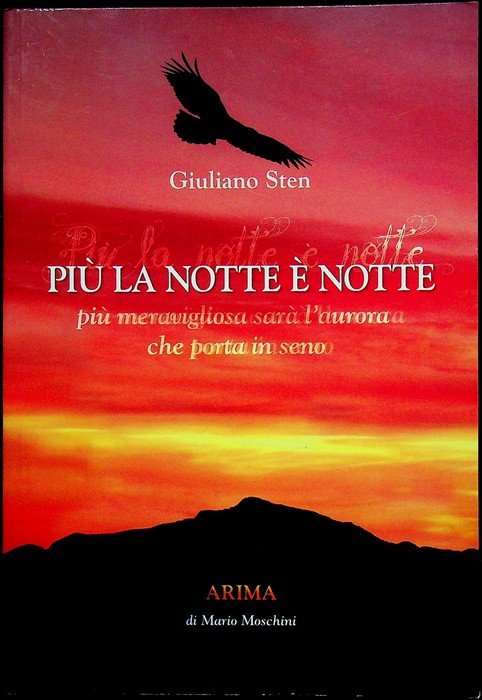 Più la notte è notte, più meravigliosa sarà l'aurora che …