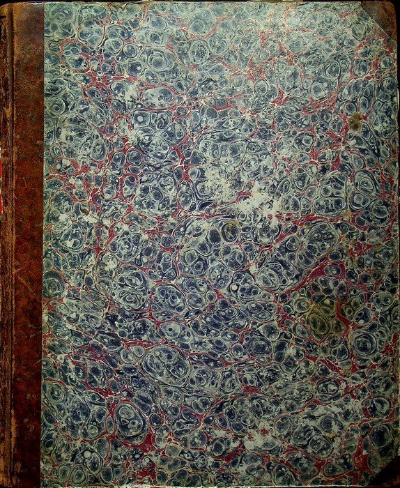 Porte-feuille instructif et amusant pour la jeunesse: MÃ©lange IntÃ©ressant D'Animaux, …