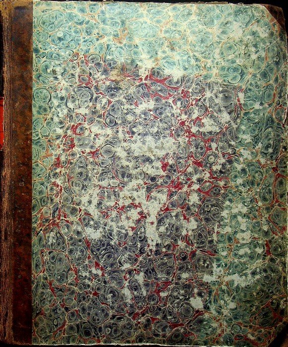 Porte-feuille instructif et amusant pour la jeunesse: MÃ©lange IntÃ©ressant D'Animaux, …