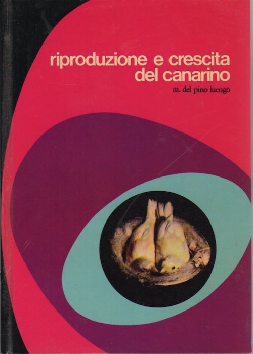 Riproduzione e crescita del canarino. | Immagine Gallery 2