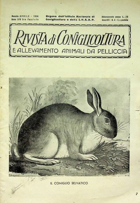 Rivista di coniglicoltura e allevamento animali da pelliccia: organo dell'Istituto …