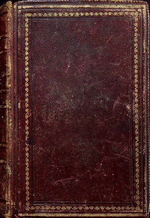 S. Francesco d'Assisi (1182-1226). | Immagine principale